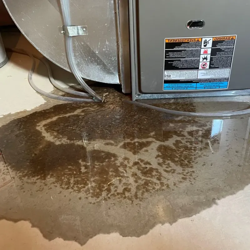 Pipe Burst and Leak Restoration in Brookville, PA