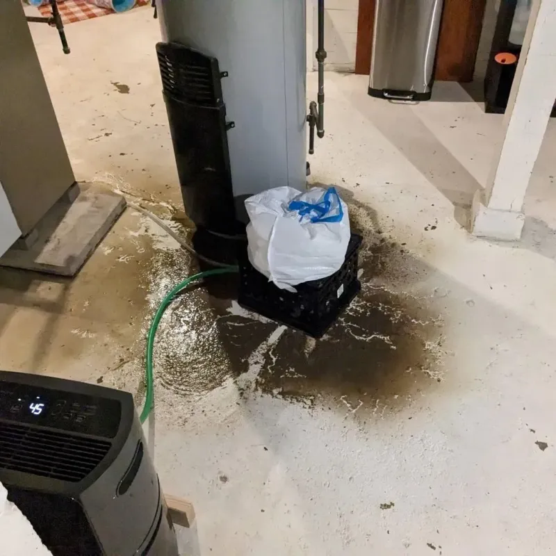 Sewage Backup Cleanup Service in Brookville, PA